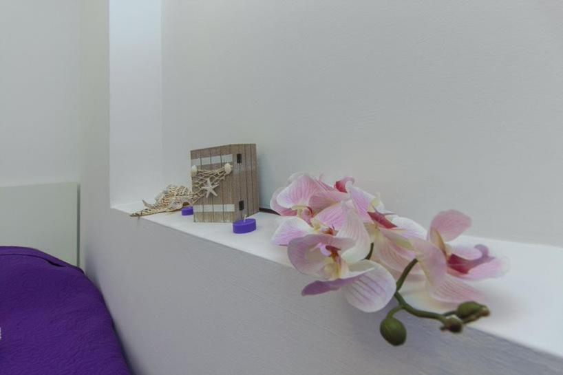 Apartmán Gabi Grebaštica Exteriér fotografie